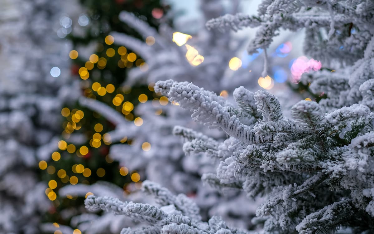 巴黎市政厅魔法森林：圣诞奇遇与节日活动