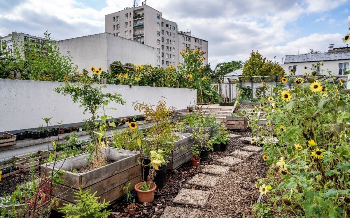 贝尔西教学菜园：2026年1月园艺实践与堆肥工作坊