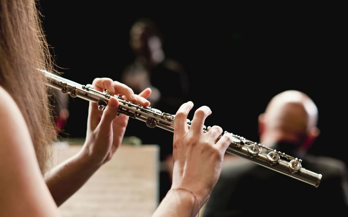 亲子音乐启蒙系列：小乐迷的音乐之旅