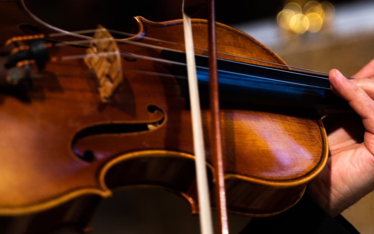 维瓦尔第《四季》，莫扎特《小夜曲》