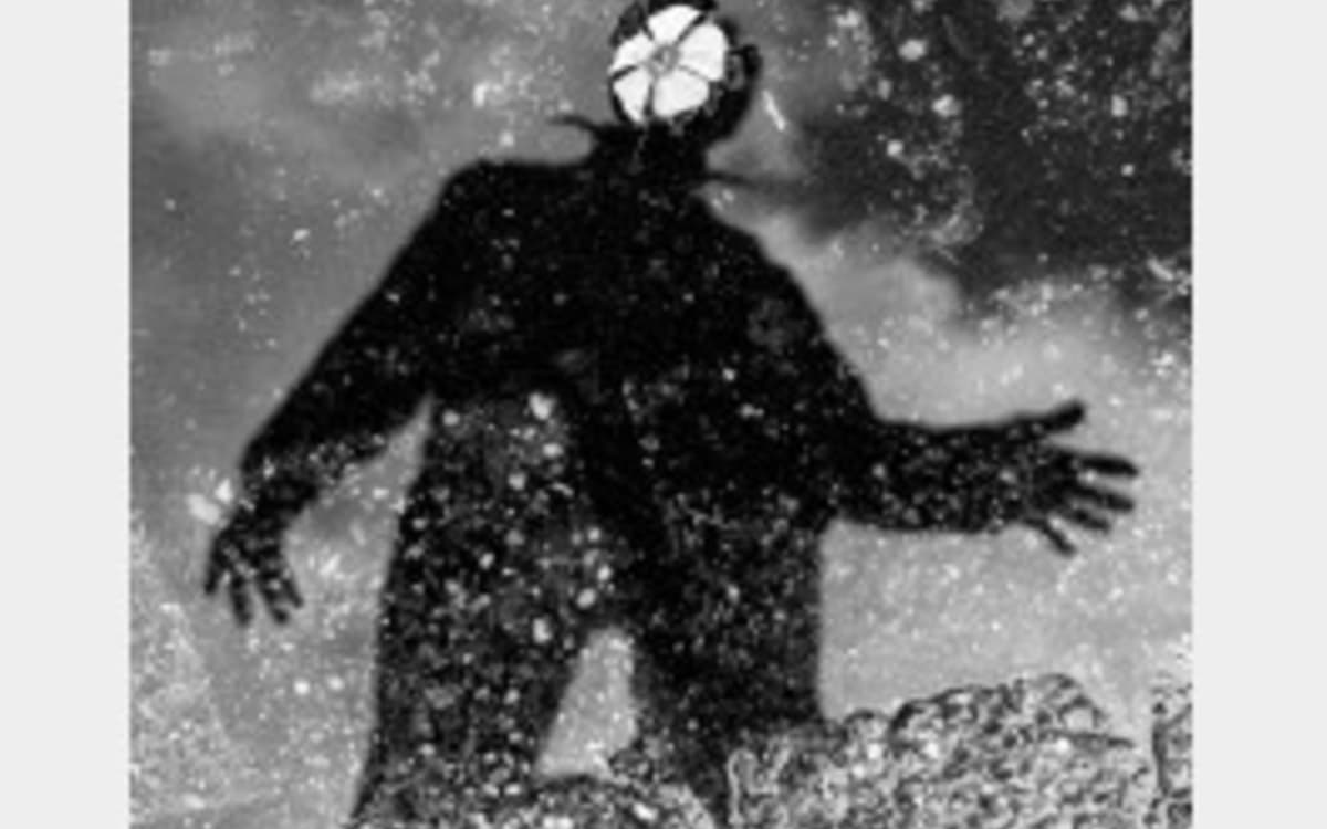 MEP呈现萨拉·范·赖伊“回声图集”摄影展