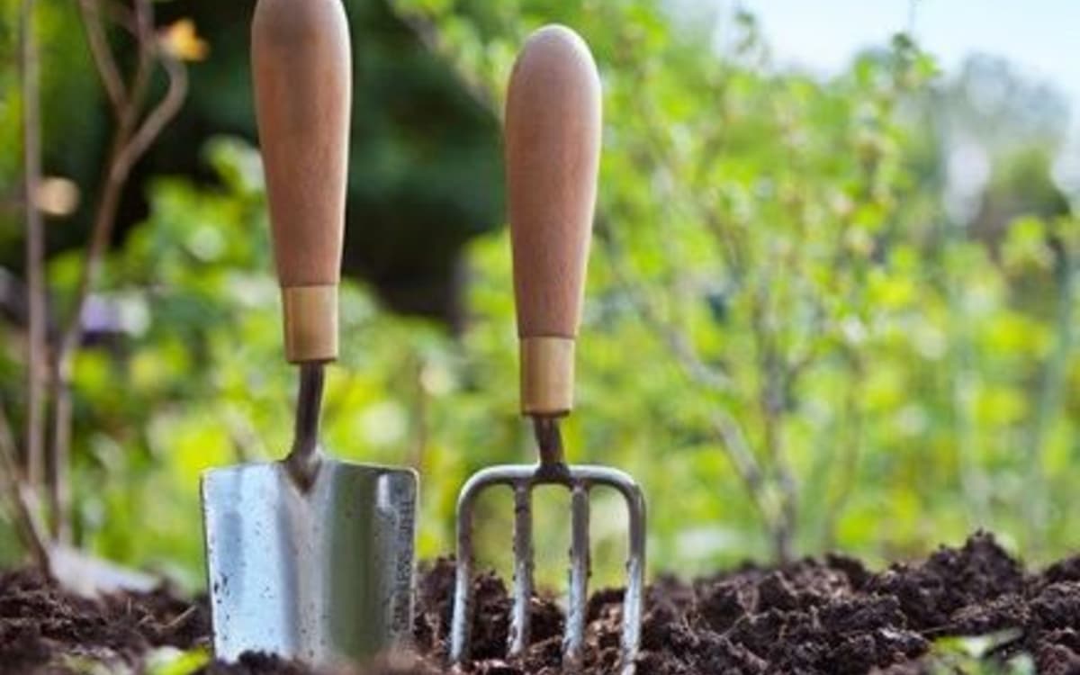 2025年12月贝尔西教学菜园:免费园艺实践工作坊