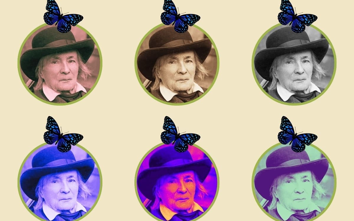 马尔罗图书馆致敬昆虫学家法布尔:系列活动全攻略