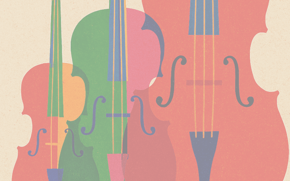 巴黎9区音乐学院弦乐系年度系列音乐会:弦乐共鸣