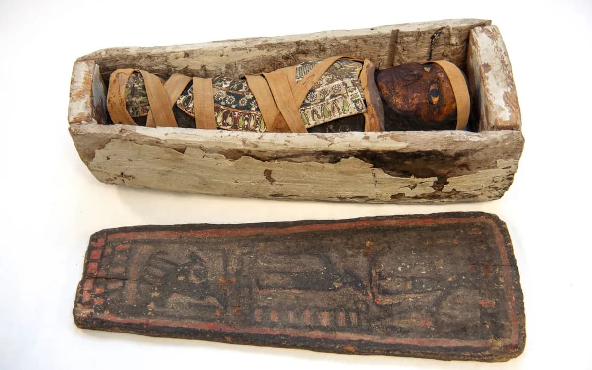 人类博物馆木乃伊展